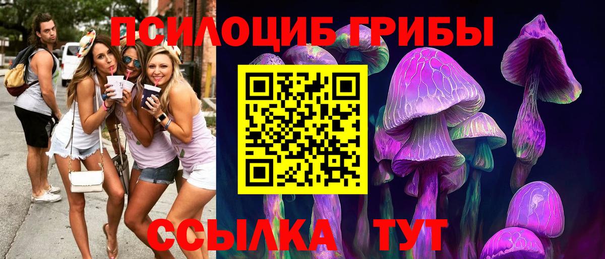 Псилоцибиновые грибы Cubensis Ярославль