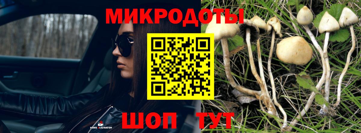 Псилоцибиновые грибы Psilocybe  Галлюциногенные грибы ЛСД  Вход с VPN  Ярославль 
